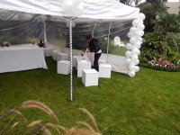 /album/www-camarerasparaeventos-com-ar/a1511021-389198987888950-662522605-n-jpg1/